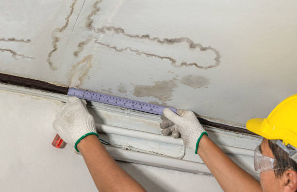 Reliable Water Damage contractor in Weston, MA by Water Damage Irwin